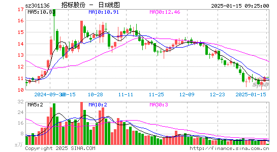 招标股份