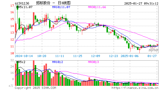 招标股份