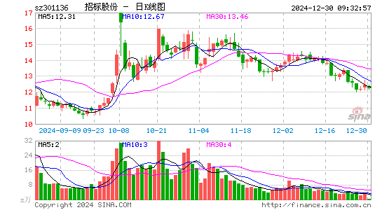 招标股份