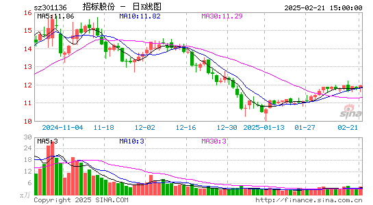 招标股份