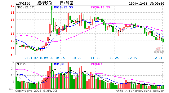 招标股份