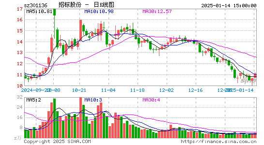 招标股份