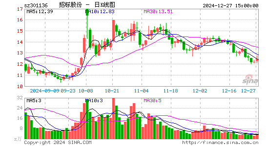 招标股份