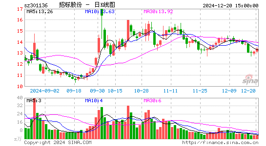 招标股份