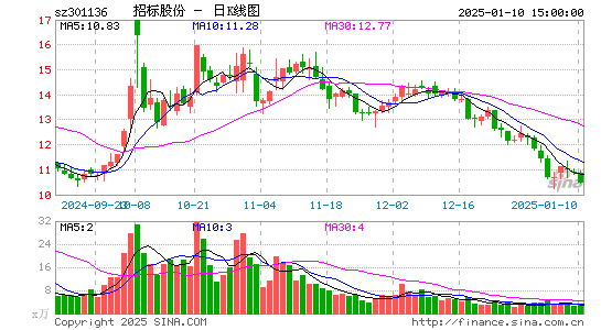 招标股份