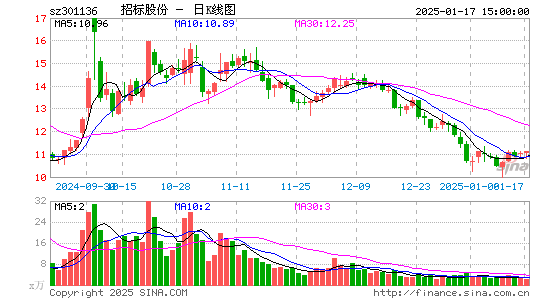 招标股份