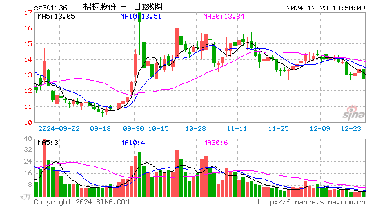 招标股份