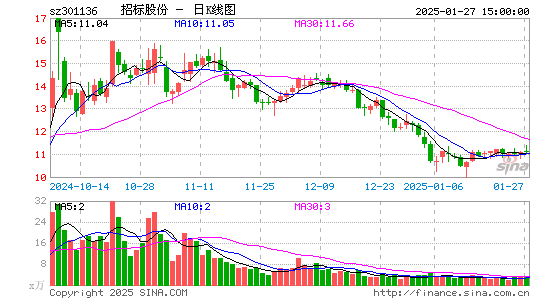 招标股份