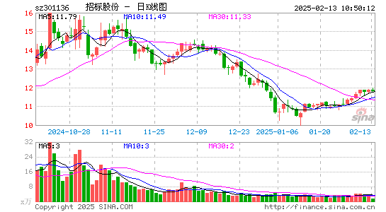 招标股份