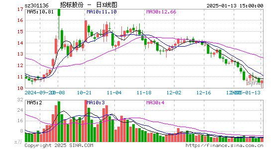 招标股份