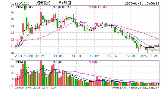 招标股份