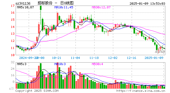 招标股份