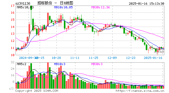 招标股份