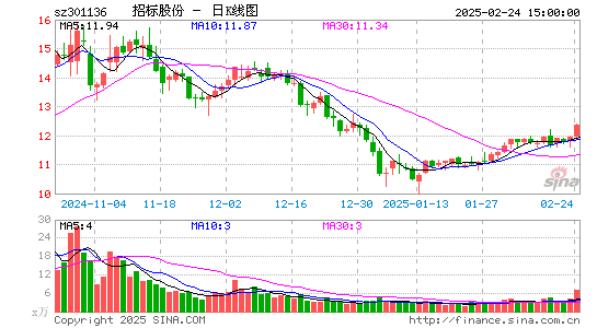 招标股份