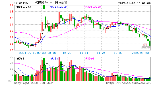 招标股份