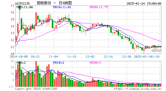 招标股份