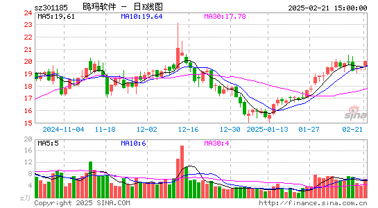 鸥玛软件