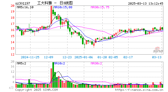 工大科雅