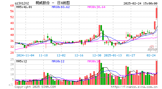 朗威股份