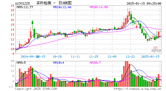 实朴检测