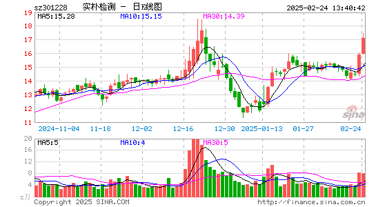 实朴检测