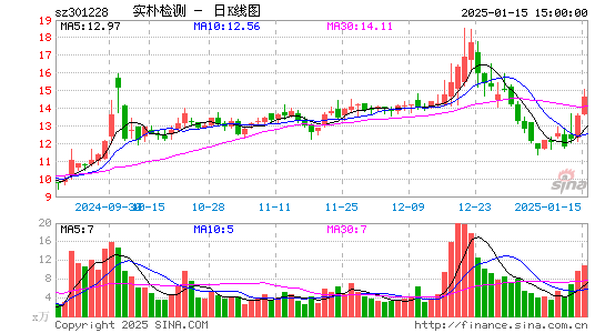 实朴检测