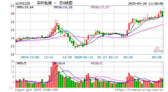 实朴检测