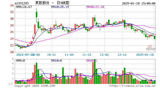 聚胶股份