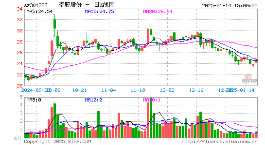 聚胶股份