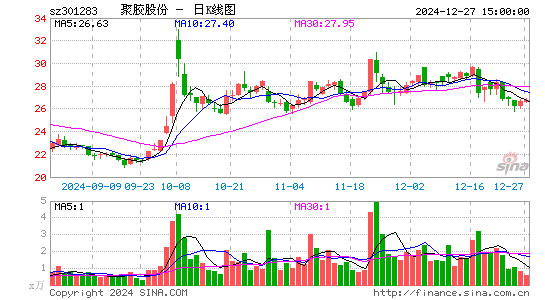 聚胶股份