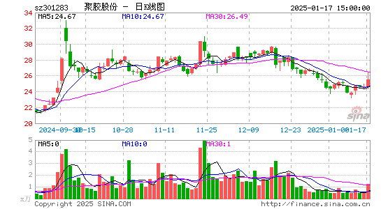 聚胶股份