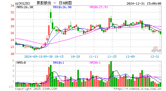 聚胶股份