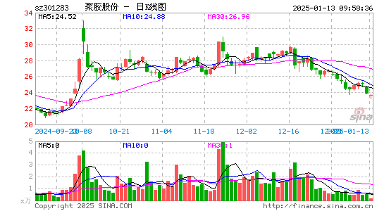 聚胶股份