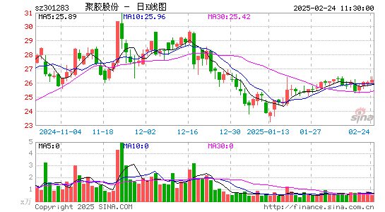 聚胶股份