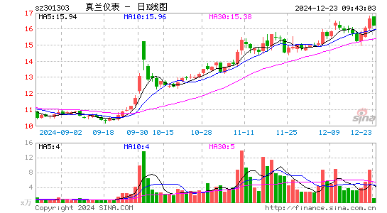 真兰仪表