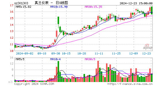 真兰仪表