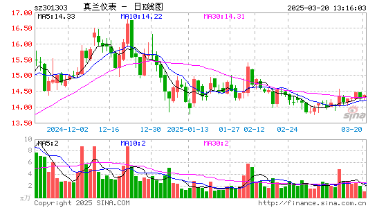 真兰仪表