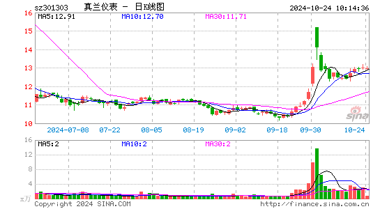 真兰仪表