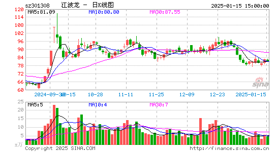 江波龙