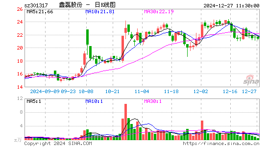 鑫磊股份