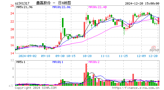 鑫磊股份