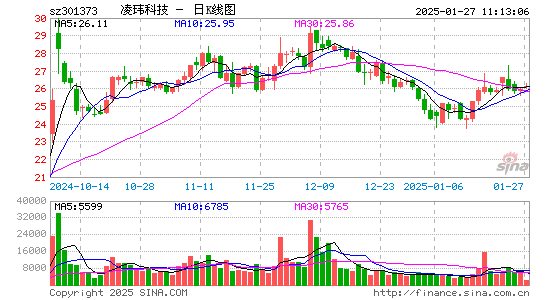 凌玮科技