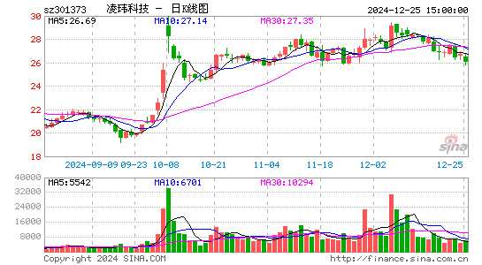 凌玮科技