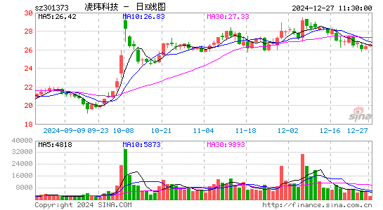 凌玮科技