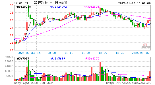 凌玮科技