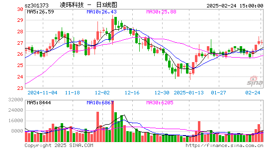 凌玮科技