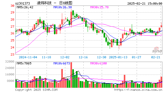 凌玮科技