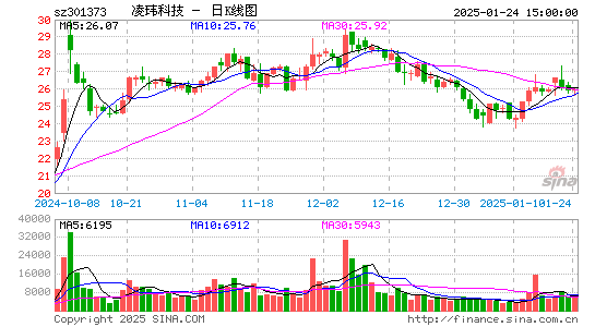 凌玮科技