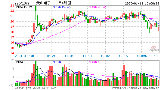 天山电子