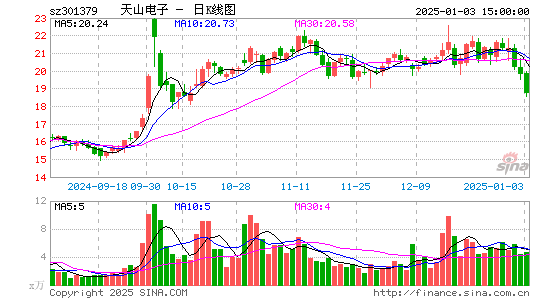 天山电子